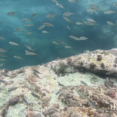 夏天好去處丨夏日必玩水上活動！嚴選刺激水上運動：無繩滑水丶水上瑜伽 浮潛2